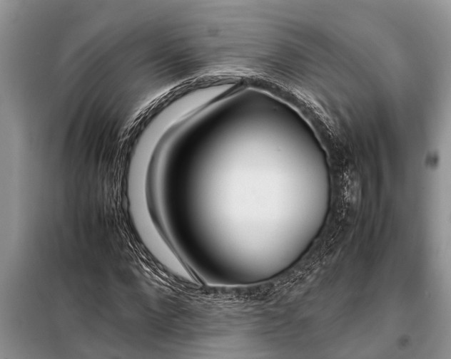 X0000097960872200804071028