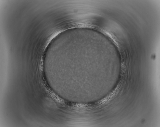 X0000097960875200804071028