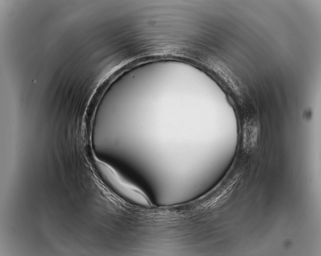 X0000097960876200804071028