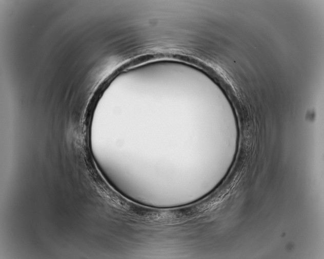 X0000097960879200804071028