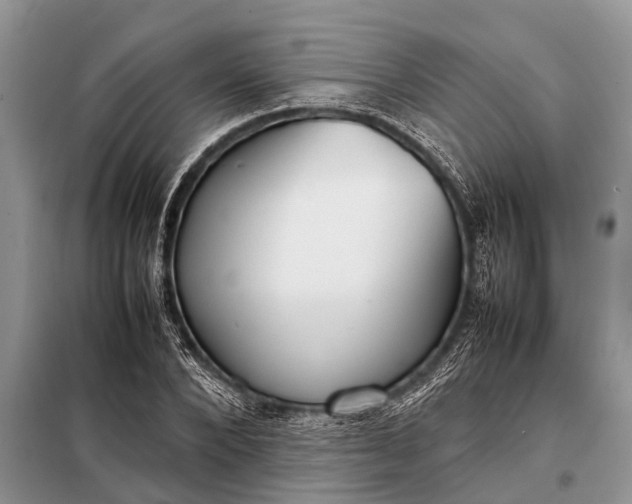 X0000097960880200804071028