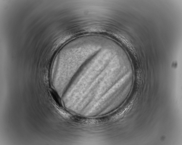 X0000097960881200804071028