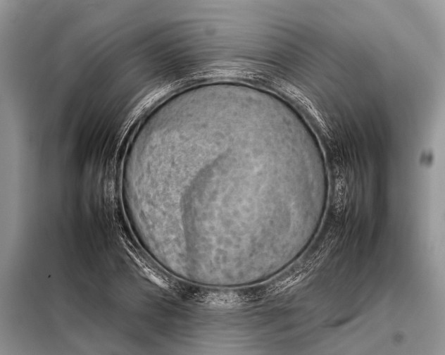 X0000097960882200804071028