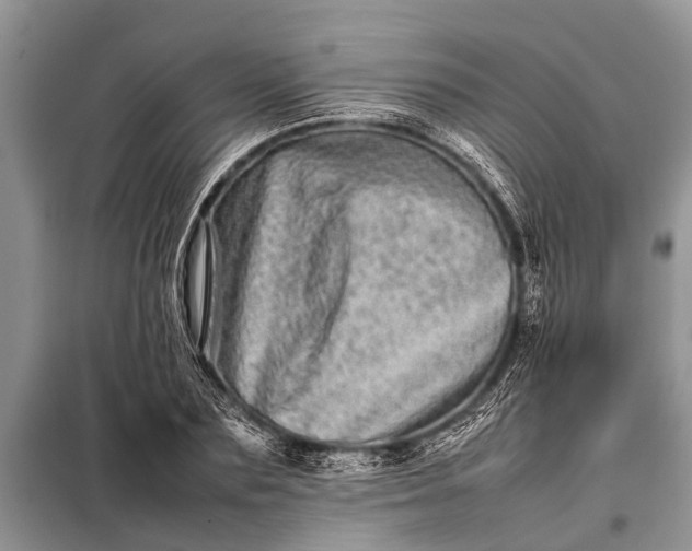 X0000097960883200804071028