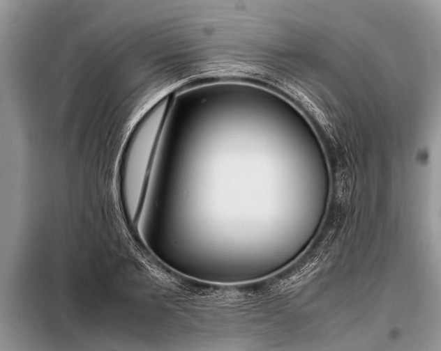 X0000097960885200804071028