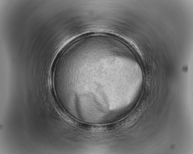 X0000097960887200804071028