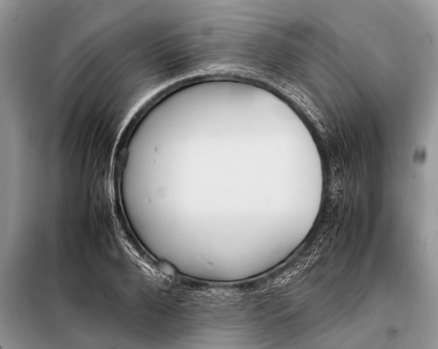 X0000097960888200804071028