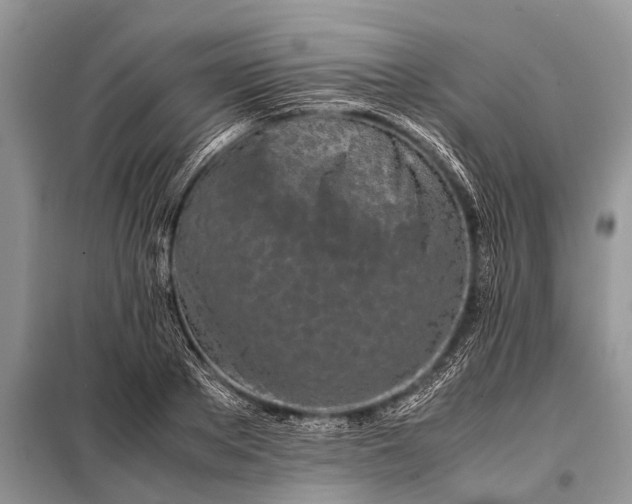 X0000097960889200804071028