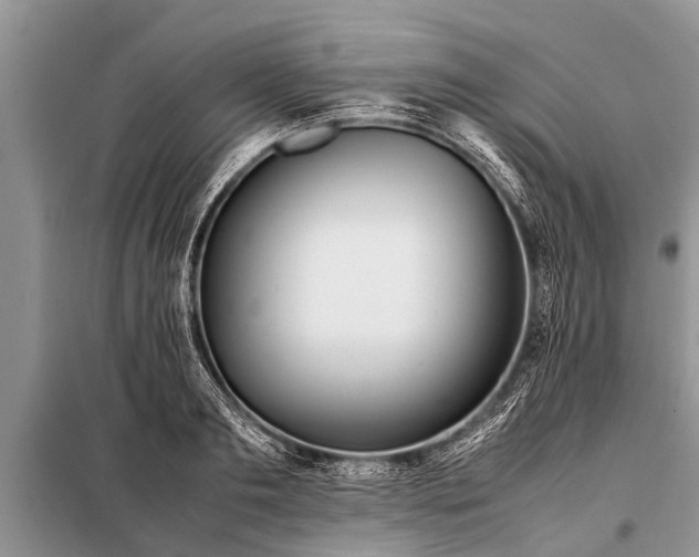 X0000097960893200804071028