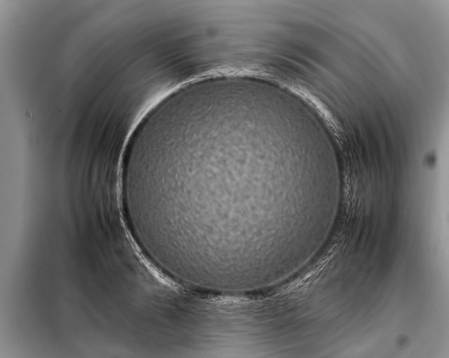 X0000097960894200804071028