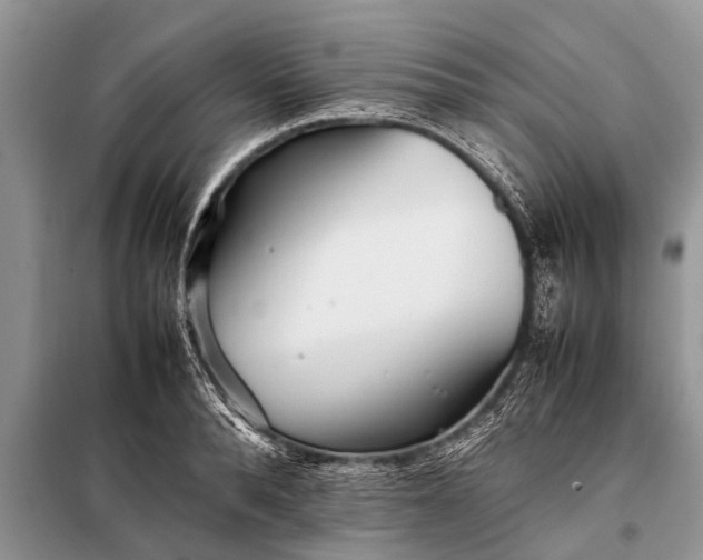 X0000097960896200804071028