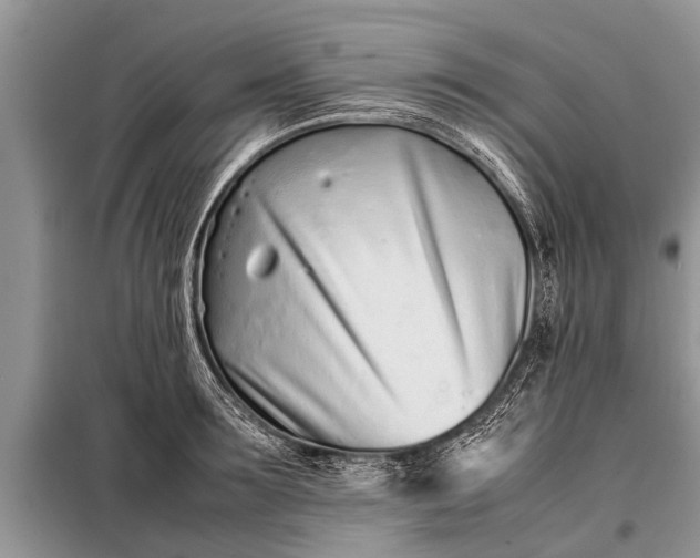 X0000097960899200804071028