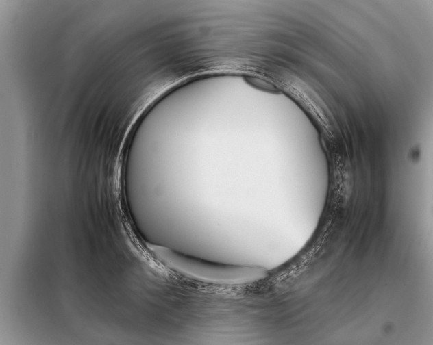 X0000097960900200804071028