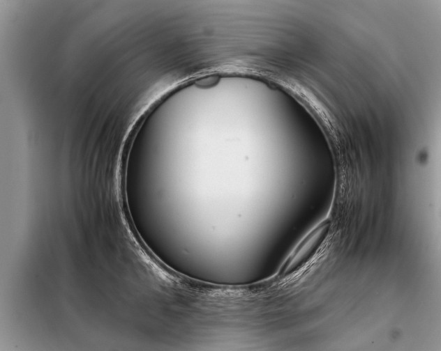 X0000097960902200804071027
