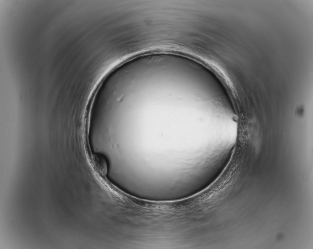 X0000097960903200804071027