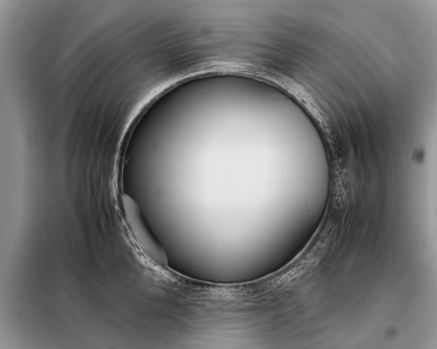 X0000097960904200804071027