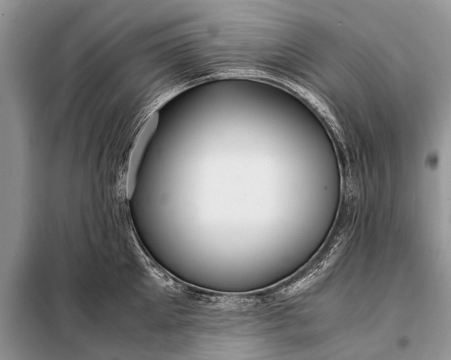 X0000097960905200804071027
