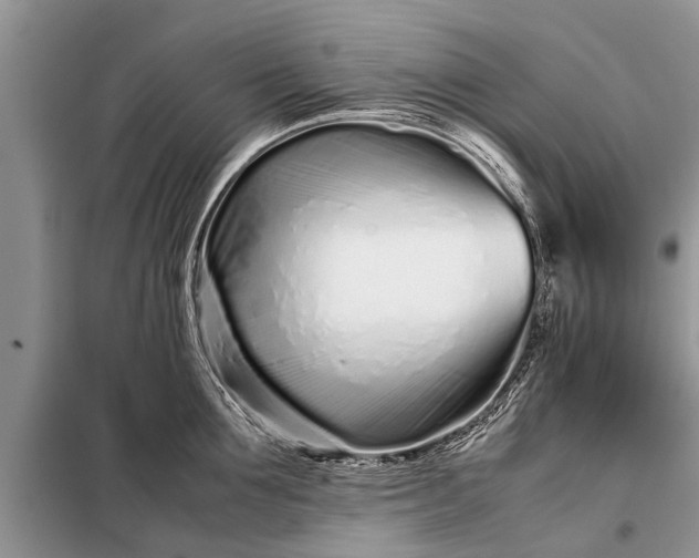 X0000097960907200804071027