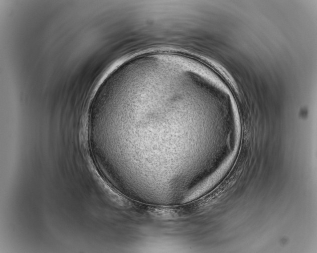 X0000097960911200804071027