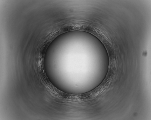 X0000097960914200804071027