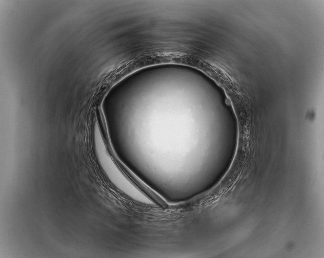 X0000097960917200804071027