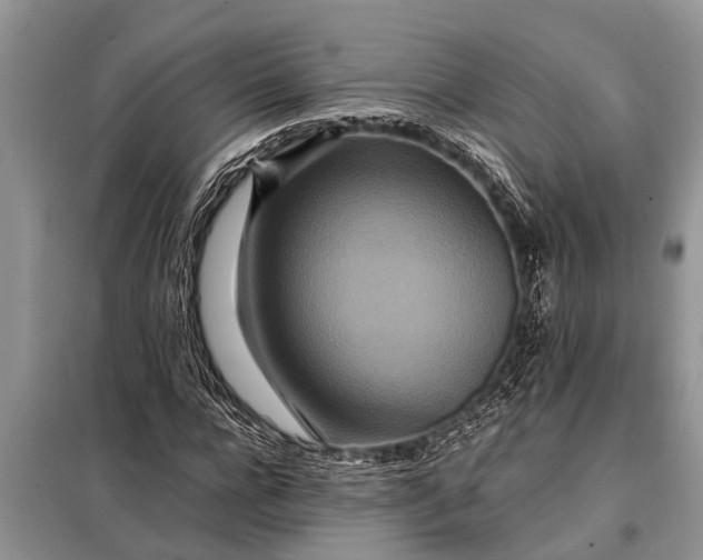 X0000097960920200804071027