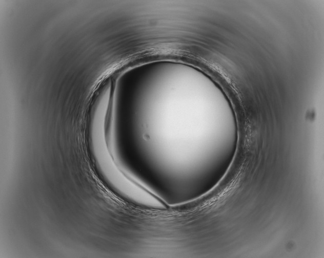 X0000097960922200804071027