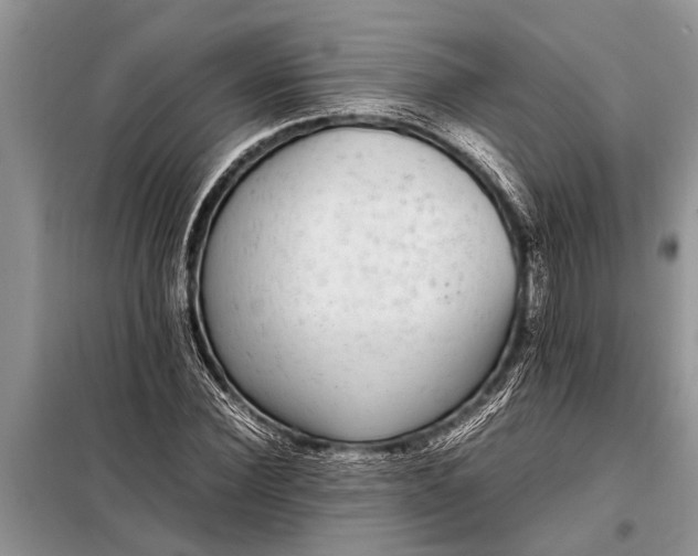 X0000097960924200804071027