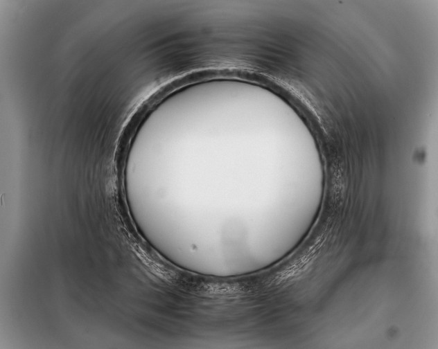 X0000097960927200804071027
