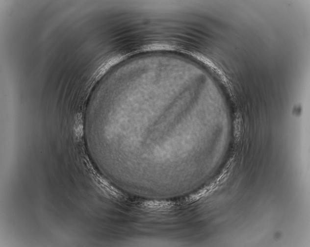X0000097960929200804071027
