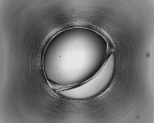 X0000097960930200804071027