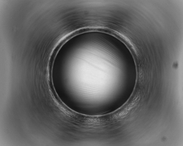 X0000097960935200804071027