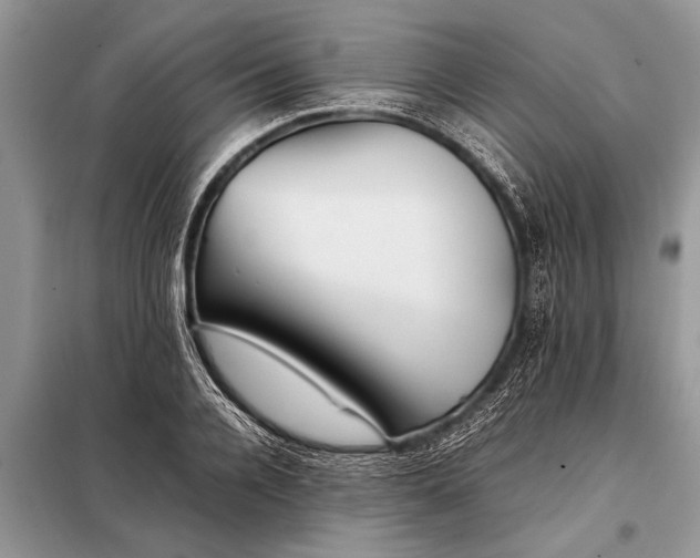X0000097960936200804071027