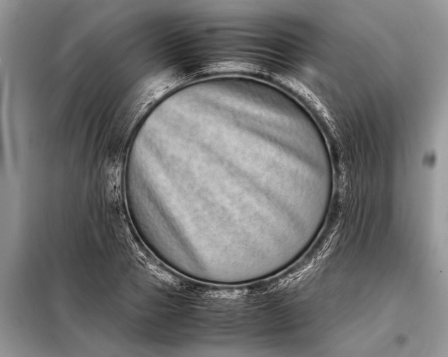 X0000097960937200804071027