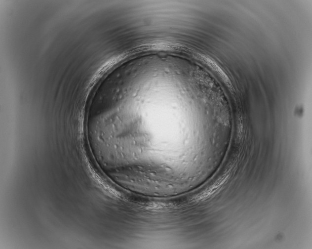 X0000097960938200804071027