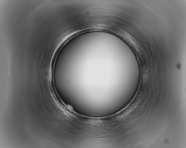 X0000097960940200804071027