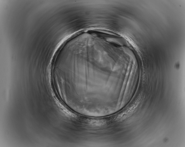 X0000097960941200804071027