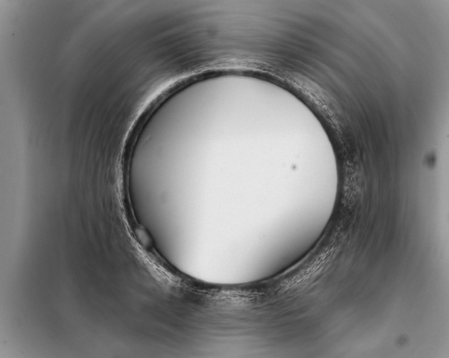 X0000097960942200804071027
