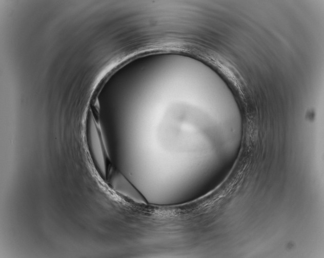 X0000097960944200804071027