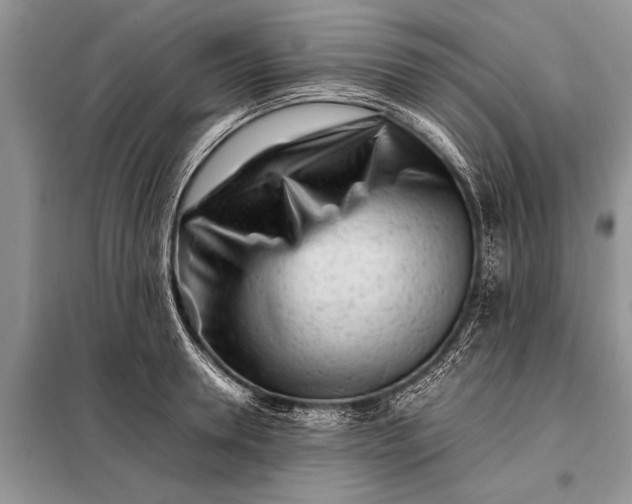 X0000097960946200804071027