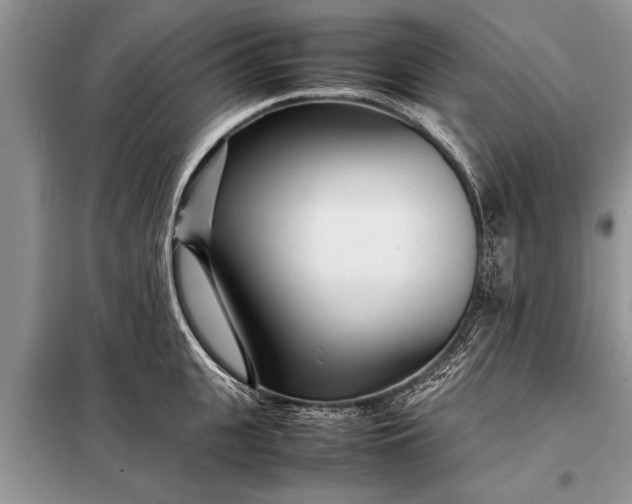 X0000097960951200804071027