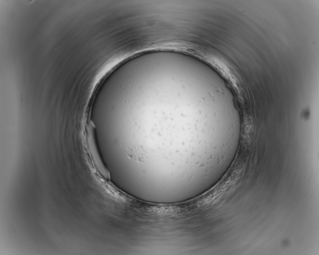 X0000097960952200804071027