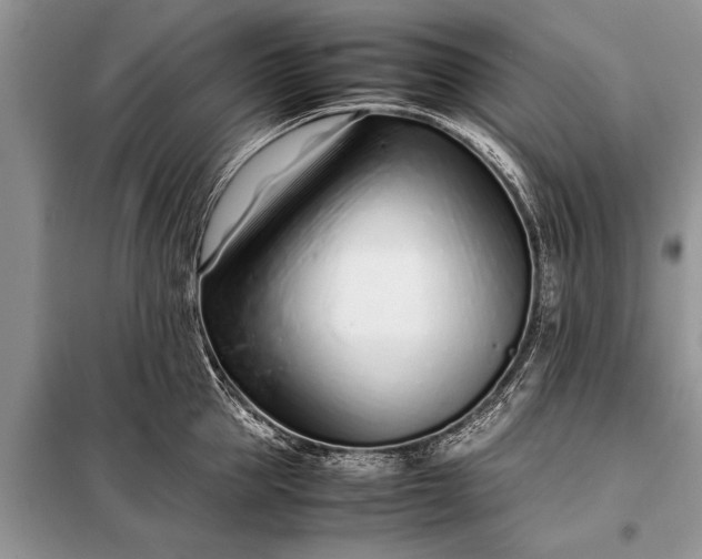 X0000097960953200804071027