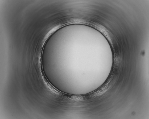 X0000097960954200804071027
