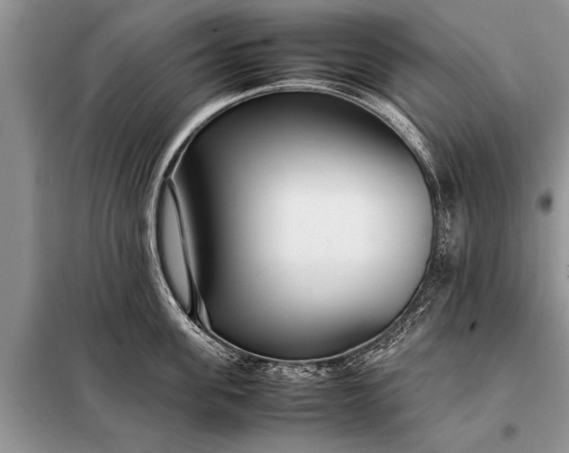 X0000097960955200804071027