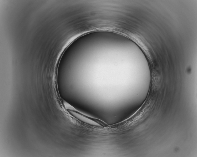 X0000097960956200804071027