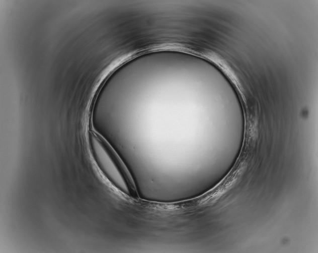 X0000097960957200804071027