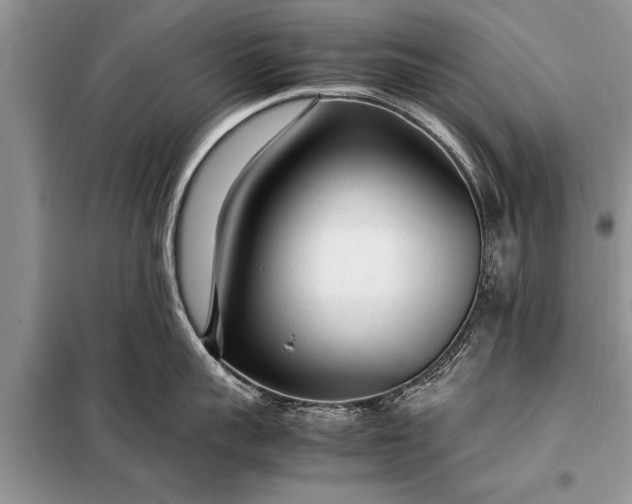 X0000097960959200804071027