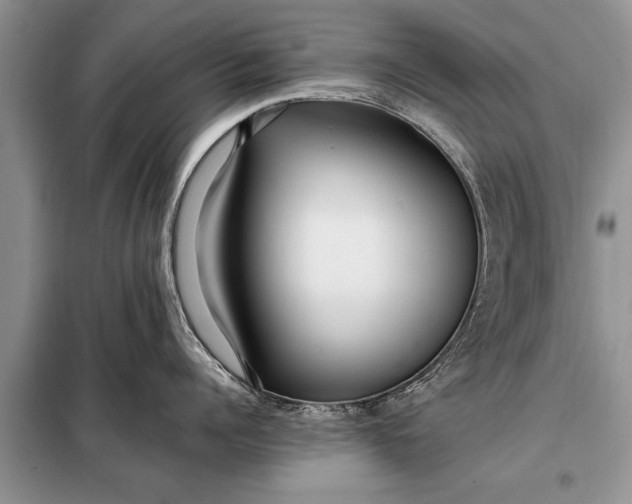 X0000097960960200804071027