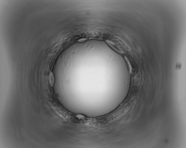 X0000097960961200804071026